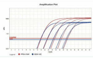 1 Step RT QPCR