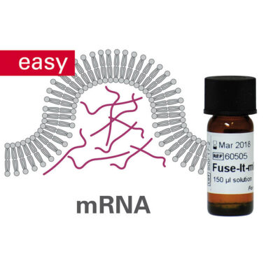 Fuse-It-mRNA for mRNA Transfection