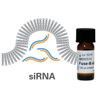 Fuse-It-siRNA for siRNA Transfection