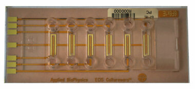 ECIS six channel flow chamber with 1 circular electrode (0.049 sqr.mm total area) per channel. Lexan substrate. 0.66 mm channel height.