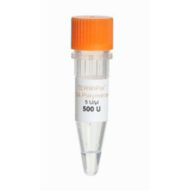 TERMIPol® DNA Polymerase (5 U/μl)