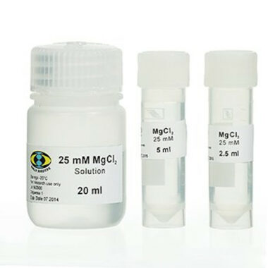 25 mM MgCl2