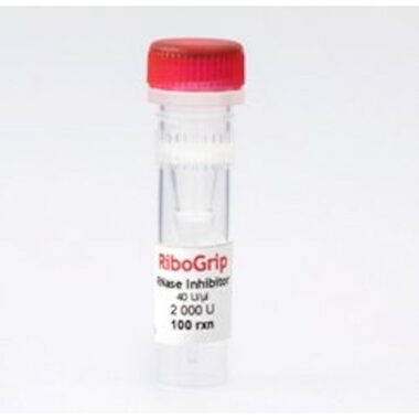 RiboGrip RNase Inhibitor