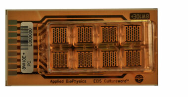 ECIS 8 well chamber with 40 circular electrodes (1.96 sqr.mm ) Lexan substrate