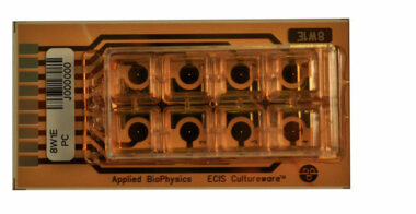 ECIS 8 well chamber with single circular electrode (0.049 sqr.mm ) per well. Lexan substrate