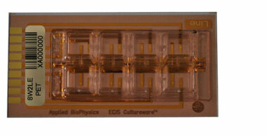 ECIS 8 well chamber with 2 linear electrodes (0.20 sqr.mm total area). PET substrate