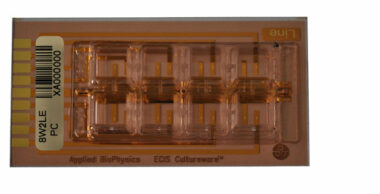 ECIS 8 well chamber with 2 linear electrodes (0.20 sqr.mm total area). Lexan substrate