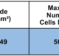 ECIS 8 well chamber with 2 independent (0.049 sqr.mm ) electrodes per well. (4 wells addressable at a time) PET substrate