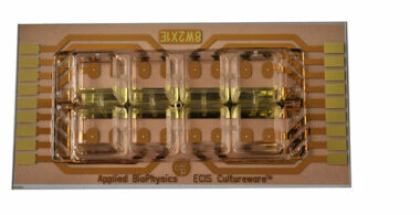 ECIS 8 well chamber with 2 independent (0.049 sqr.mm ) electrodes per well. (4 wells addressable at a time) PET substrate