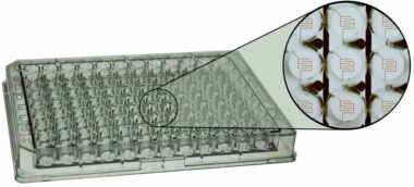 ECIS 96 Well micro titer plate with interdigitated electrodes of 1.96 sqr.mm per well. PET substrate