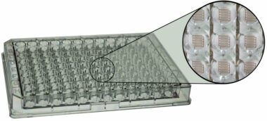 ECIS 96 Well micro titer plate with interdigitated electrodes of 3.92 sqr.mm per well. PET substrate