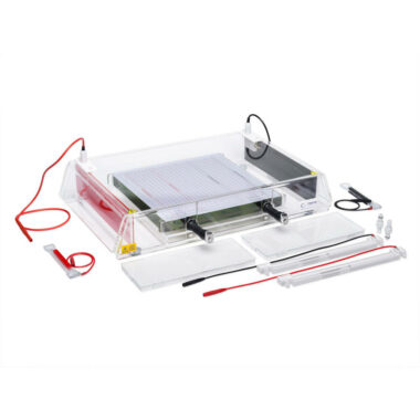 Flatbed IEF system for IEF strips and gels