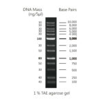 CSL MDNA 1.WEB