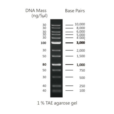 50bp DNA ladder, 50-1500bp