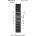 50bp DNA ladder, 50-1500bp