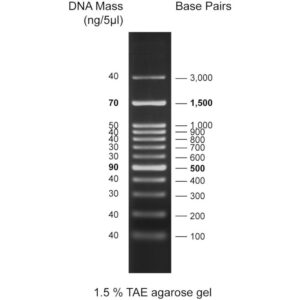 CSL MDNA 3.WEB