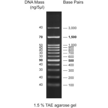 50bp DNA ladder, 50-1500bp