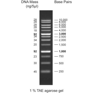 50bp DNA ladder, 50-1500bp