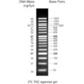 50bp DNA ladder, 50-1500bp