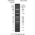 50bp DNA ladder, 50-1500bp