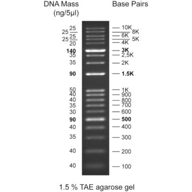 50bp DNA ladder, 50-1500bp