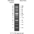 1Kb PLUS DNA ladder, 100-10Kb