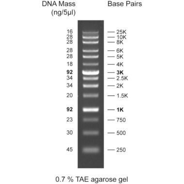 1Kb PLUS DNA ladder, 100-10Kb