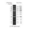 CSl MDNA 1KBPLUS