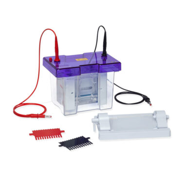 omniPAGE Mini TETRAD, Vertical Electrophoresis for 4 Handcast Gels