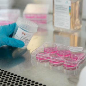 Cell Culture & Cell Culture Analysis