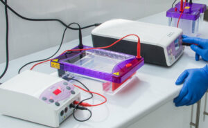 Electrophoresis Equipment