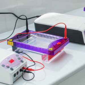 Electrophoresis Equipment