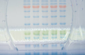 Electrophoresis Reagents