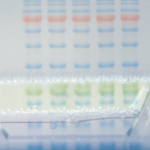 Electrophoresis Reagents