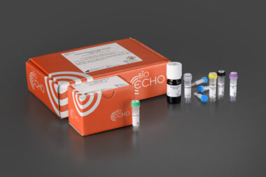 EchoLUTION FFPE RNA Kit