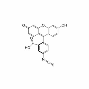 Fluorescein Iso-Thiocyanate