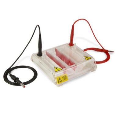 multiSUB Mini Rapide, Mini Horizontal Electrophoresis System