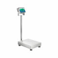 Gladiator Washdown Scales: 150kg Capacity