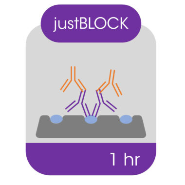 EZEE JUSTBLOCK Western Blocking solution and signal enhancer, 500ml