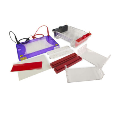 multiSUB Choice, Wide Midi Horizontal Electrophoresis System