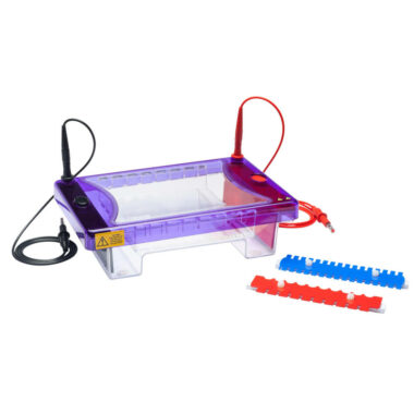 Complete 15 x 15 cm agarose gel kit with reagents