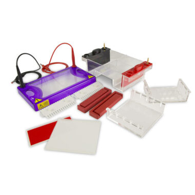 multiSUB Midi, Midi Horizontal Electrophoresis System