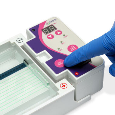 multiSUB MINI ONE, All in One Horizontal Electrophoresis System