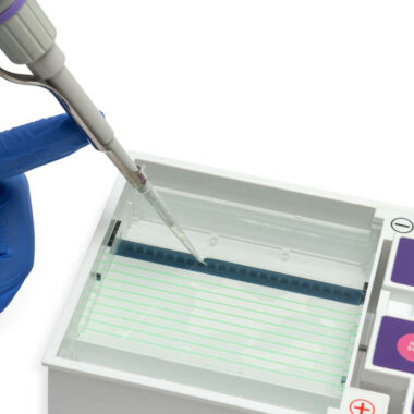 multiSUB MINI ONE, All in One Horizontal Electrophoresis System