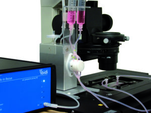 Media Perfusion Shear Stress