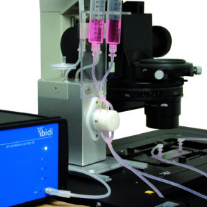 Media Perfusion (Shear stress)