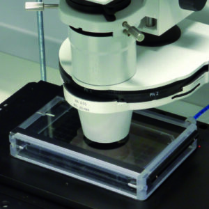 Microscope Environmental Control