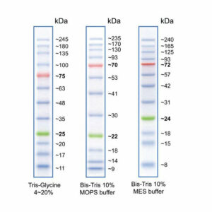 PAGE reagents