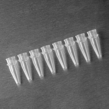 0.2 mL Polypropylene PCR Tube Strips, 8 Tubes/Strip, Clear, Nonsterile