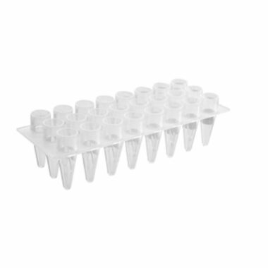 24-well Polypropylene PCR Microplate, Clear, Nonsterile